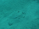 tulamben (37)